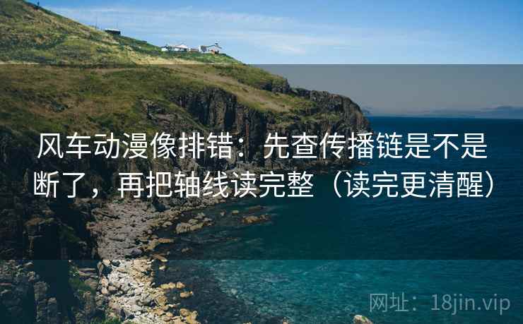 风车动漫像排错：先查传播链是不是断了，再把轴线读完整（读完更清醒）